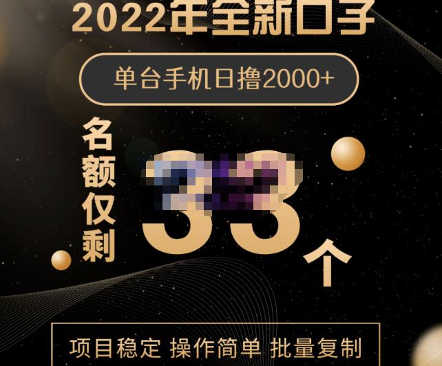 2022年全新口子，手机批量搬砖玩法，一部手机日撸2000+-三玖社区