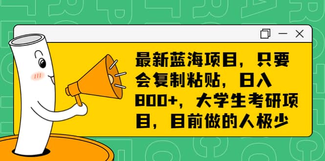 最新蓝海项目，只要会复制粘贴，日入800+，大学生考研项目，目前做的人极少-三玖社区