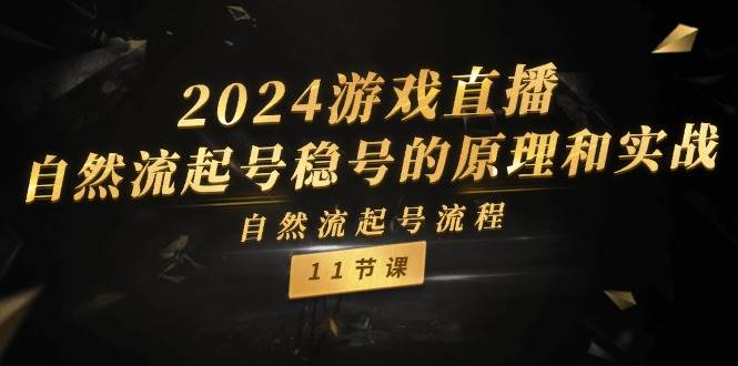 2024游戏直播-自然流起号稳号的原理和实战，自然流起号流程（11节）-三玖社区