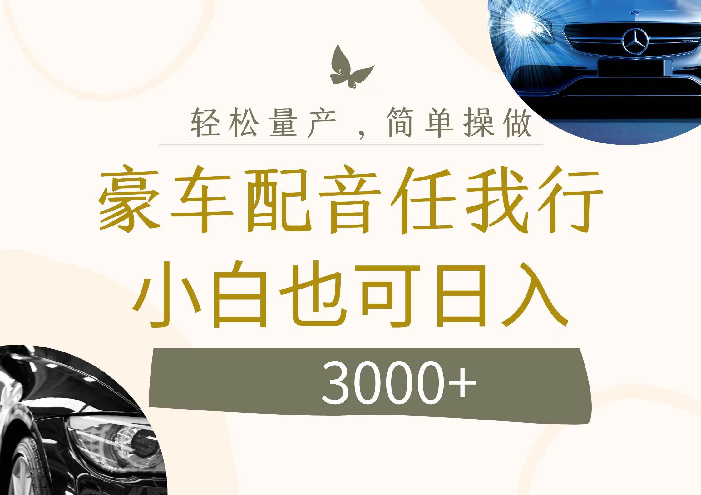 不为人知的暴力小项目，豪车配音，日入3000+-三玖社区