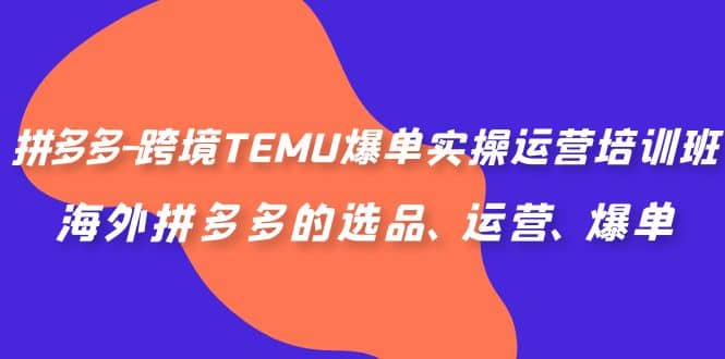 拼多多-跨境TEMU爆单实操运营培训班，海外拼多多的选品、运营、爆单-三玖社区