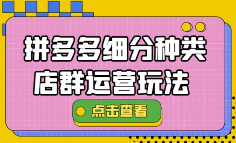 拼多多细分种类店群运营玩法3.0，11月最新玩法，小白也可以操作-三玖社区
