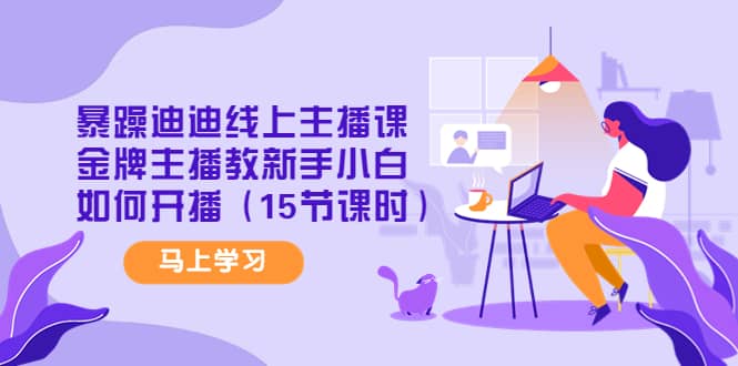 暴躁迪迪线上主播课，金牌主播教新手小白如何开播（15节课时）-三玖社区