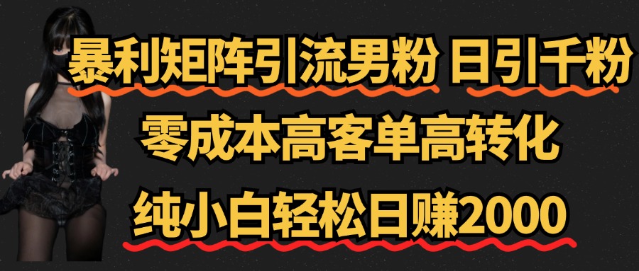 暴利矩阵引流男粉（日引千粉），零成本高客单高转化，纯小白轻松日赚2000+-三玖社区