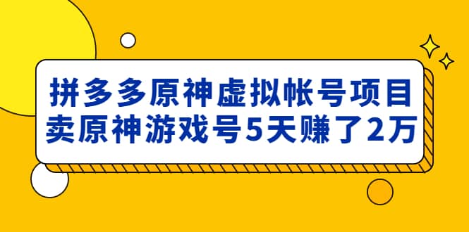外面卖2980的拼多多原神虚拟帐号项目-三玖社区