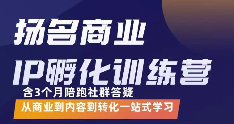 杨名商业IP孵化训练营，从商业到内容到转化一站式学 价值5980元-三玖社区