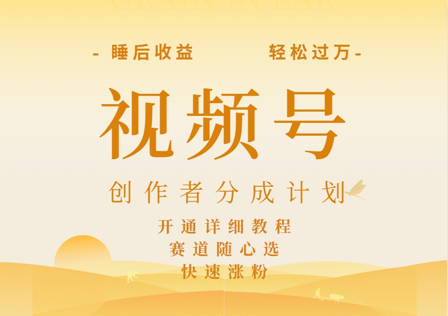 详解视频号创作者分成计划，暴力起号，可同步多平台，实现睡后收入2W+，看懂即可操作！-三玖社区