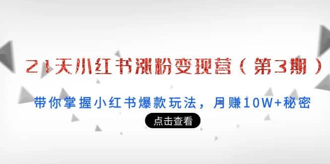21天小红书涨粉变现营（第3期）：带你掌握小红书爆款玩法，月赚10W+秘密-三玖社区