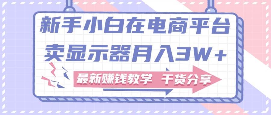 新手小白如何做到在电商平台卖显示器月入3W+，最新赚钱教学干货分享-三玖社区