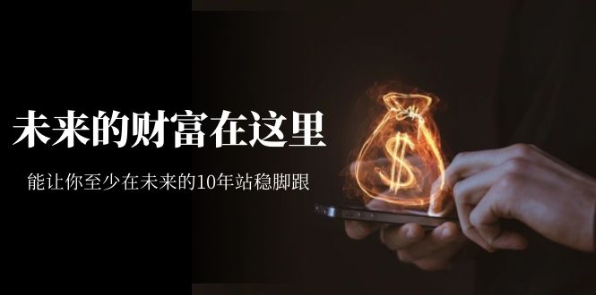 某收费文章《未来的财富在这里》能让你至少在未来的10年站稳脚跟-三玖社区