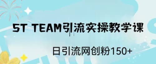 ST TEAM引流实操课，日引流网创粉100+-三玖社区