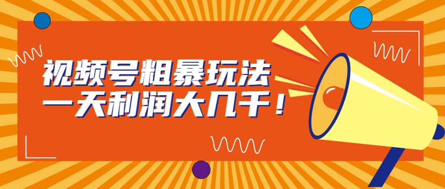 视频号粗暴玩法，一天利润大几千-三玖社区