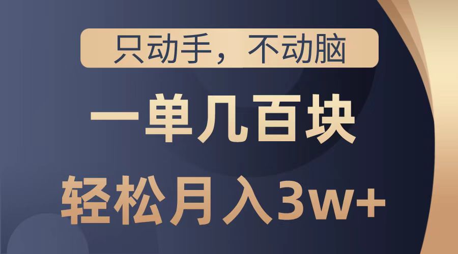 只动手不动脑，一单几百块，轻松月入2w+，看完就能直接操作，详细教程-三玖社区
