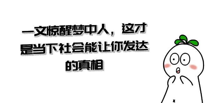某公众号付费文章《一文 惊醒梦中人，这才是当下社会能让你发达的真相》-三玖社区
