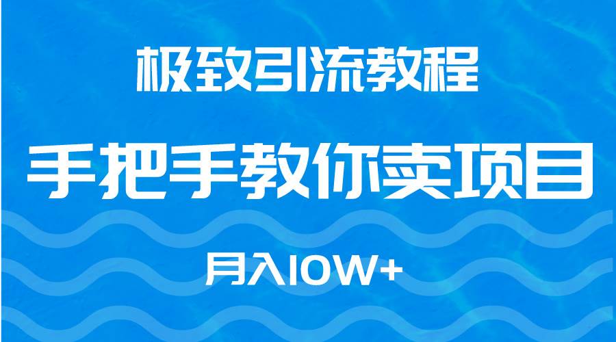 极致引流教程，手把手教你卖项目，月入10W+-三玖社区