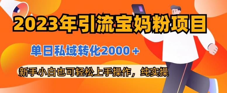 2023年引流宝妈粉项目，单日私域转化2000＋，新手小白也可轻松上手操作，纯实操-三玖社区