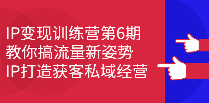 IP变现训练营第6期：教你搞流量新姿势，IP打造获客私域经营-三玖社区