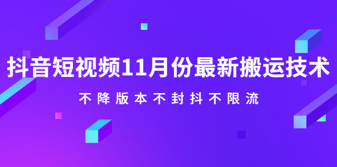 抖音短视频11月份最新搬运技术，不降版本不封抖不限流！【视频课程】-三玖社区