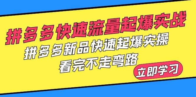 拼多多-快速流量起爆实战，拼多多新品快速起爆实操，看完不走弯路-三玖社区
