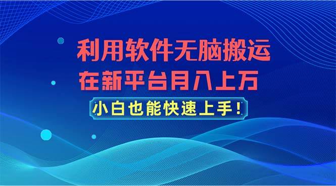 利用软件无脑搬运，在新平台月入上万，小白也能快速上手-三玖社区