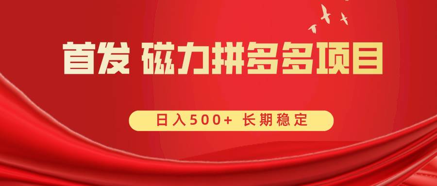 首发 磁力拼多多自撸  日入500+-三玖社区