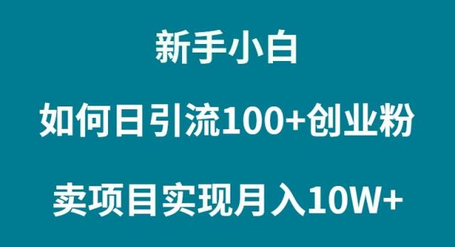 新手小白如何通过卖项目实现月入10W+-三玖社区