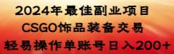 2024年最佳副业项目 CSGO饰品装备交易 轻易操作单账号日入200+-三玖社区