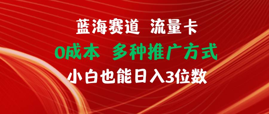 蓝海赛道 流量卡 0成本 小白也能日入三位数-三玖社区