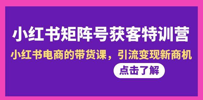 小红书-矩阵号获客特训营-第10期，小红书电商的带货课，引流变现新商机-三玖社区