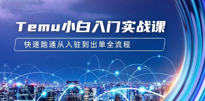 Temu小白入门实战课：跨境拼多多电商培训 快速跑通从入驻到出单全流程-12节-三玖社区