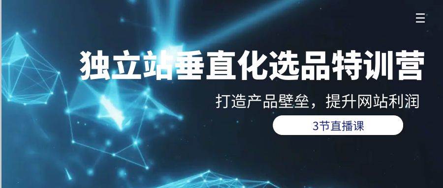 独立站-垂直化选品训练营，打造产品壁垒，提升网站利润（3节直播课）-三玖社区