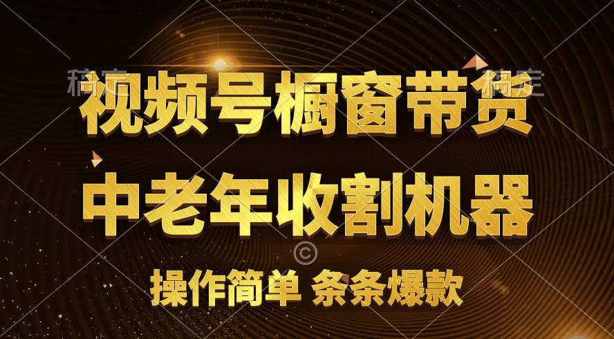 [你的孩子成功取得高位]视频号最火爆赛道，橱窗带货，流量分成计划，条…-三玖社区