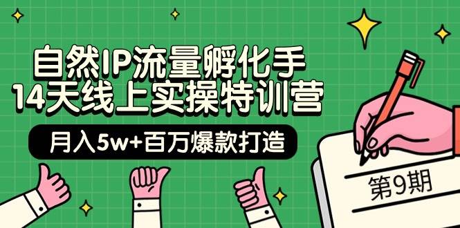 自然IP流量孵化手 14天线上实操特训营【第9期】月入5w+百万爆款打造 (74节)-三玖社区