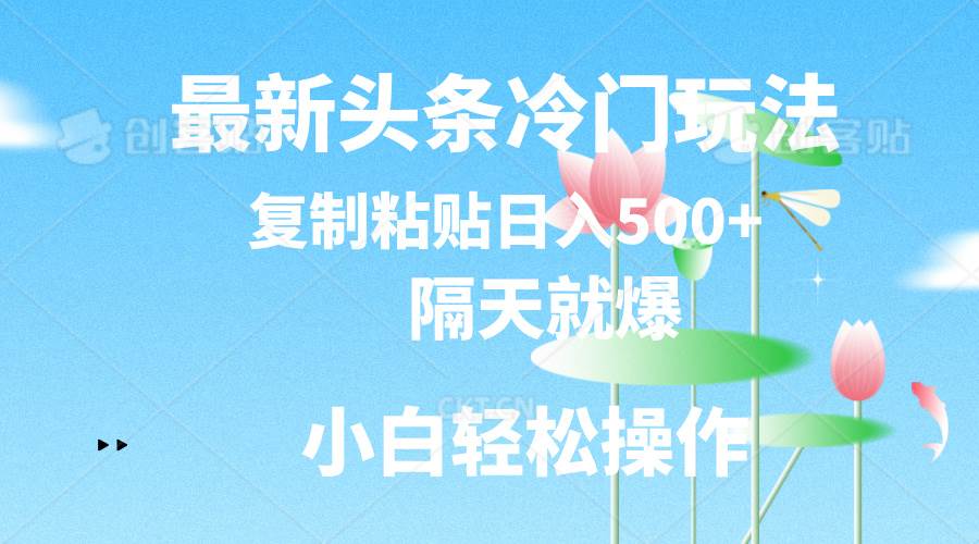 最新头条冷门玩法，隔天就爆，复制粘贴日入500+-三玖社区