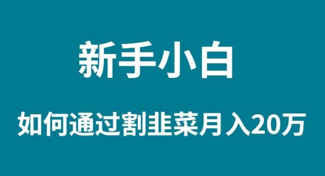 新手小白如何通过割韭菜月入 20W-三玖社区