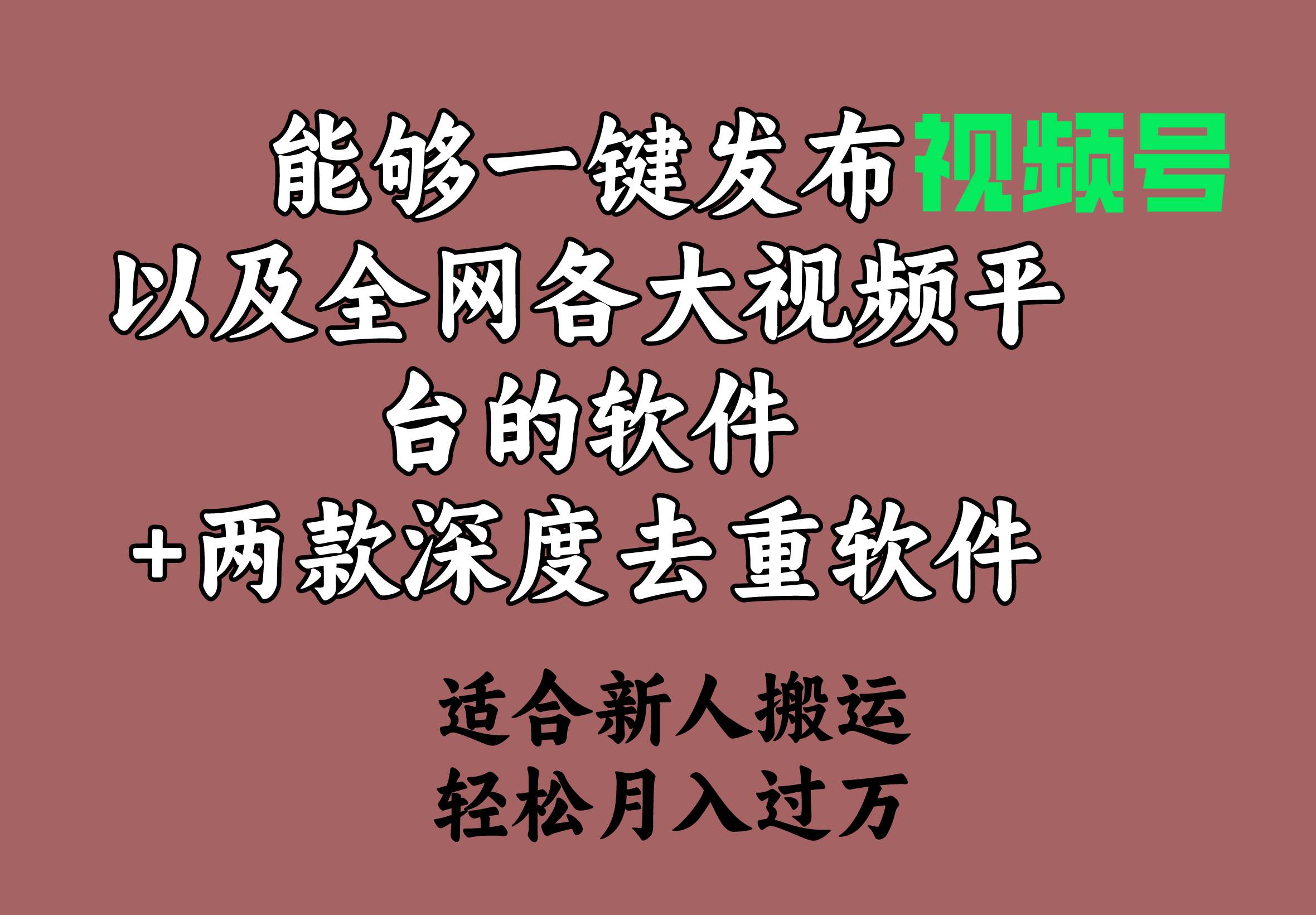 能够一键发布视频号以及全网各大视频平台的软件+两款深度去重软件 适合…-三玖社区