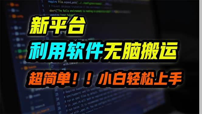 新平台用软件无脑搬运，月赚10000+，小白也能轻松上手-三玖社区