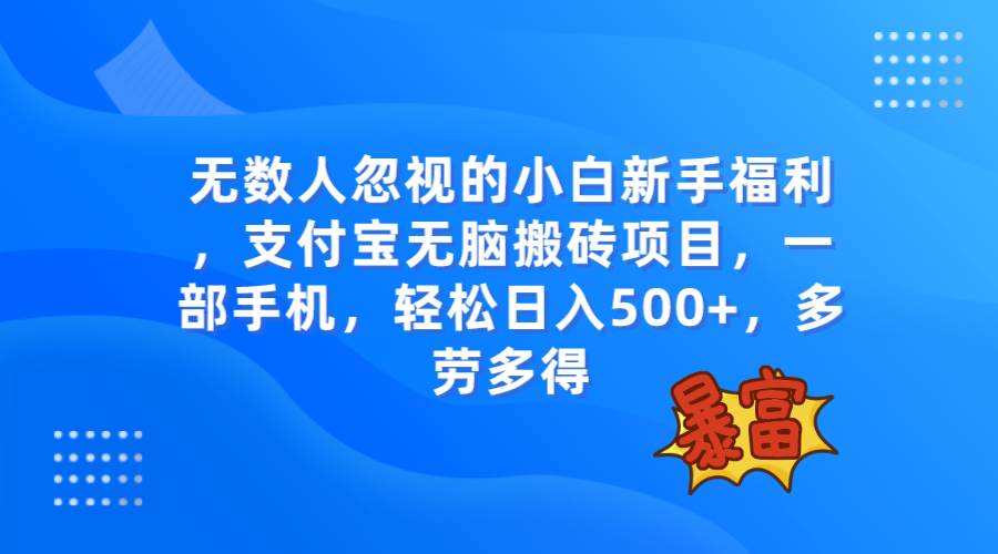 无数人忽视的项目，支付宝无脑搬砖项目，一部手机即可操作，轻松日入500+-三玖社区