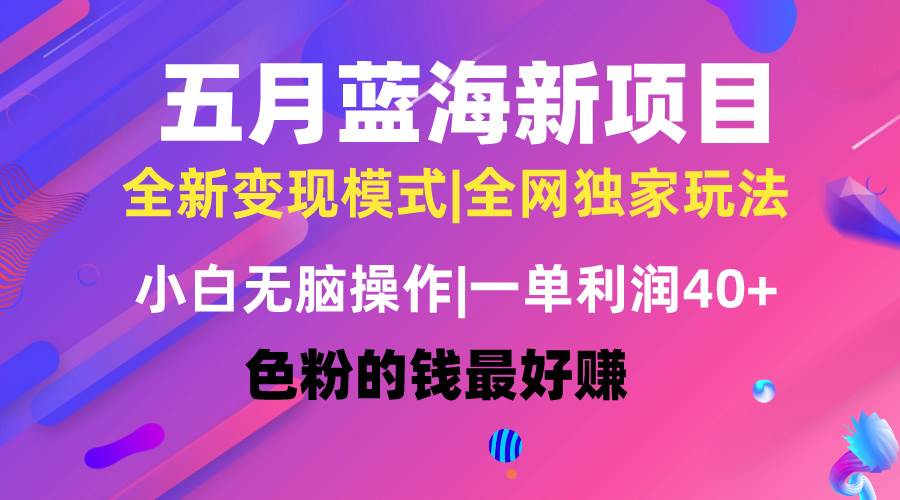 五月蓝海项目全新玩法，小白无脑操作，一天几分钟，矩阵操作，月入4万+-三玖社区