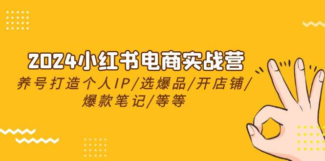 2024小红书电商实战营，养号打造IP/选爆品/开店铺/爆款笔记/等等（24节）-三玖社区