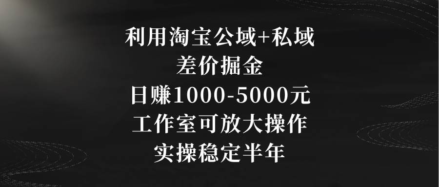 利用淘宝公域+私域差价掘金，日赚1000-5000元，工作室可放大操作，实操…-三玖社区