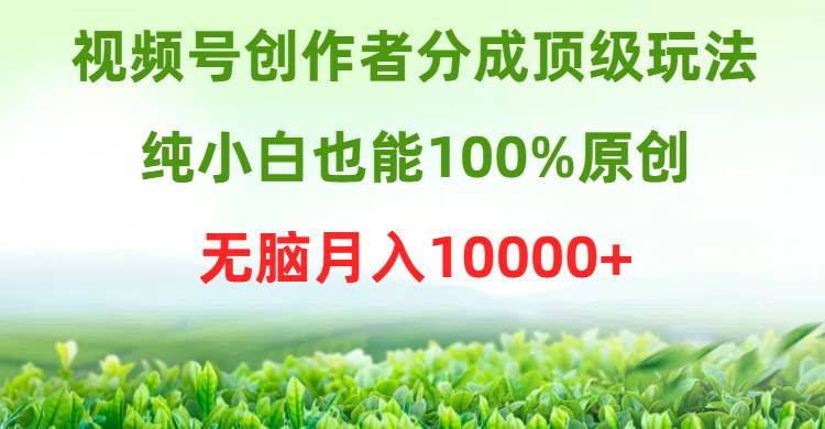 视频号创作者分成顶级玩法，纯小白也能100%原创，无脑月入10000+-三玖社区