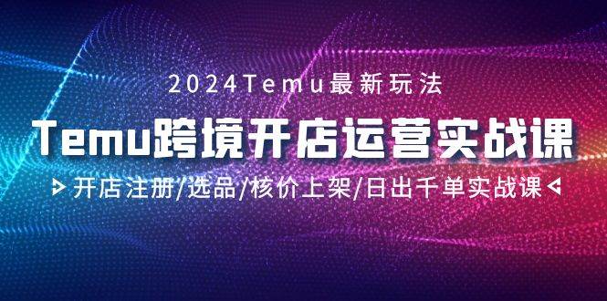 2024Temu跨境开店运营实战课，开店注册/选品/核价上架/日出千单实战课-三玖社区
