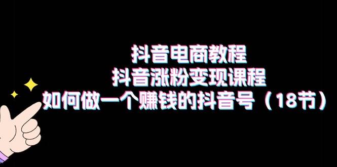 抖音电商教程：抖音涨粉变现课程：如何做一个赚钱的抖音号（18节）-三玖社区