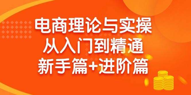 电商理论与实操从入门到精通 新手篇+进阶篇-三玖社区