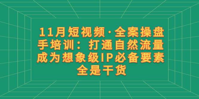 11月短视频·全案操盘手培训：打通自然流量 成为想象级IP必备要素 全是干货-三玖社区