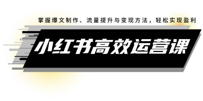 小红书高效运营课：掌握爆文制作、流量提升与变现方法，轻松实现盈利-三玖社区