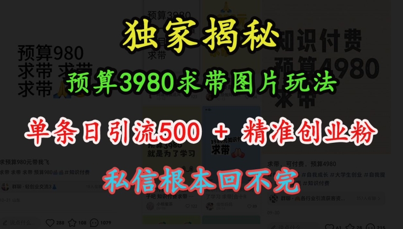 预算3980求带 图片玩法，单条日引流500+精准创业粉，私信根本回不完-三玖社区