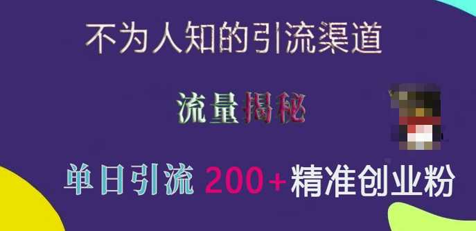 不为人知的引流渠道，流量揭秘，实测单日引流200+精准创业粉【揭秘】-三玖社区