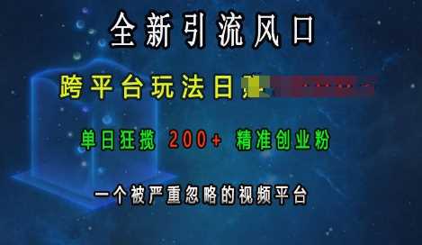 全新引流风口，跨平台玩法日入上k，单日狂揽200+精准创业粉，一个被严重忽略的视频平台-三玖社区